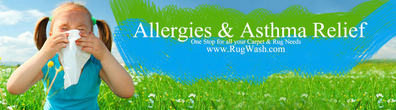 Allergy and Asthma Relief